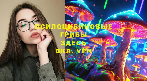 прущие крисы Белоозёрский