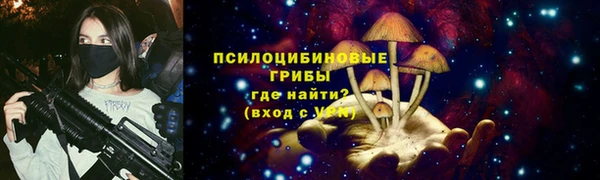 прущие крисы Белоозёрский